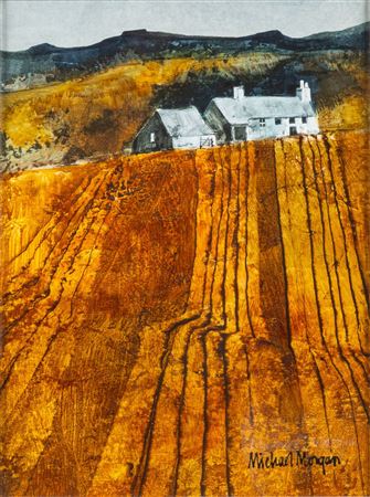 Farm with Ploughed Field