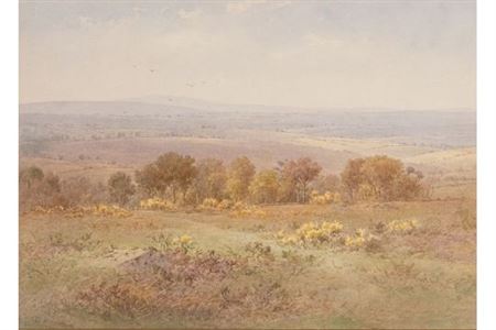 Roborough Down