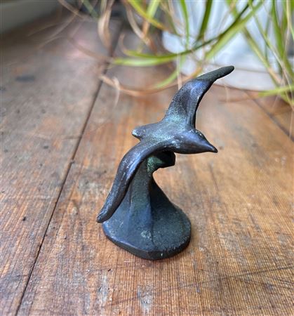 Gull