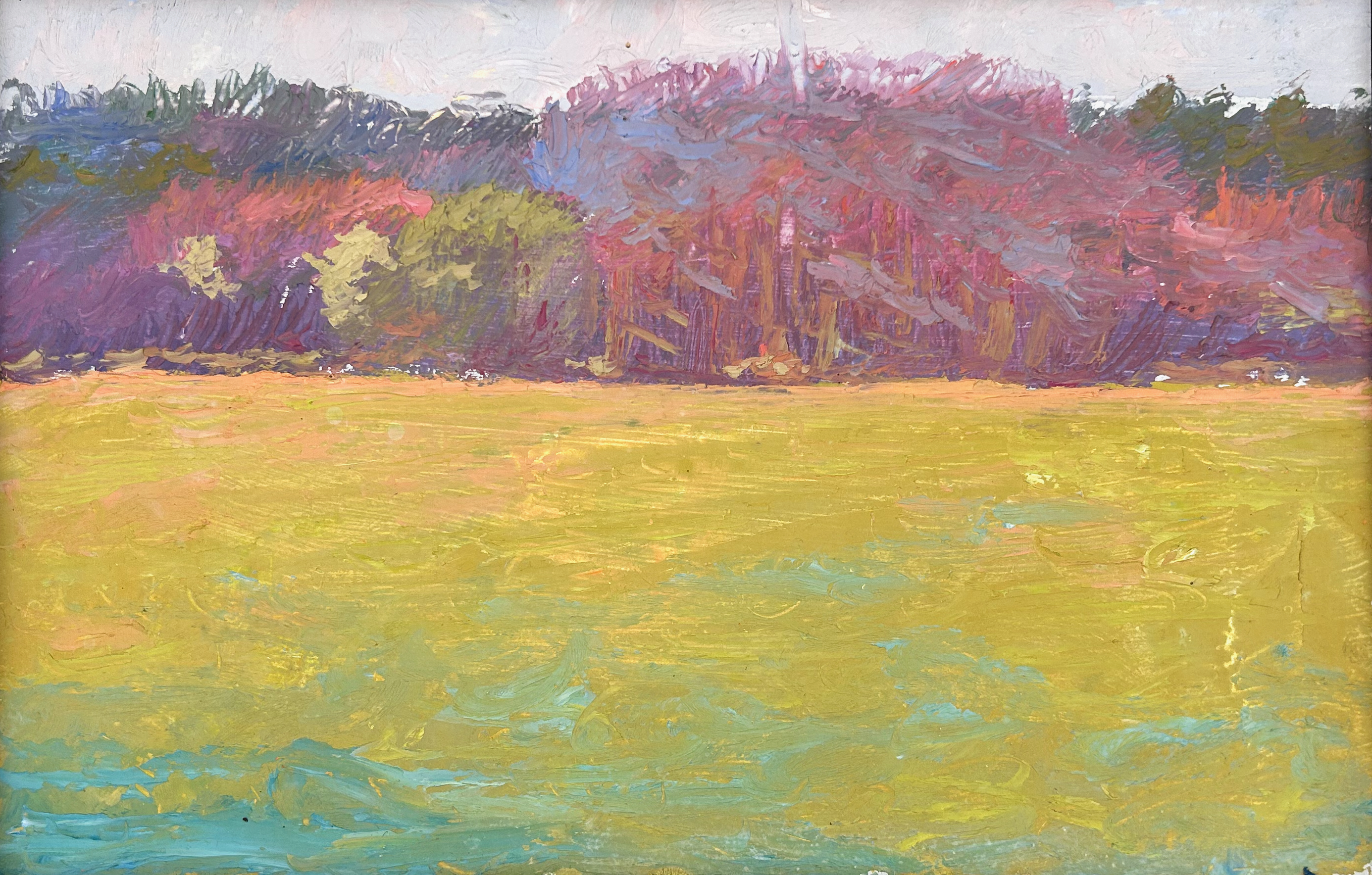 Woods Meets Marsh