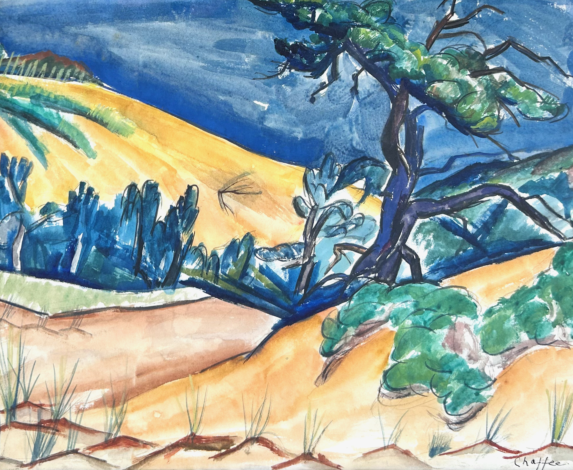 Dunes Provincetown