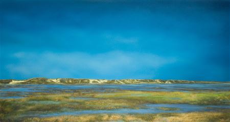 L Zwin by Roger Nellens - Auction record, sale price, and art valuation. Compare with similar artists and explore comparable artworks.