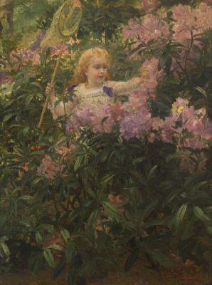 The Butterfly Hunt
