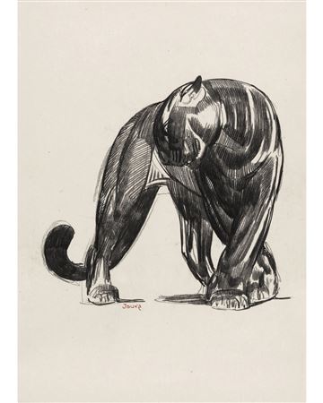 Panthère Noire