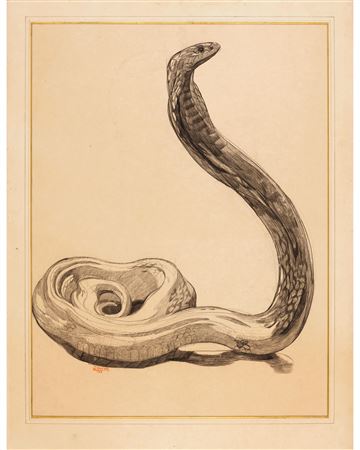 Cobra Dressé 1922