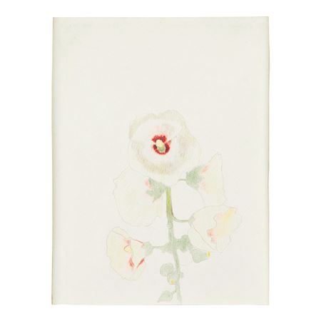 Hollyhocks
