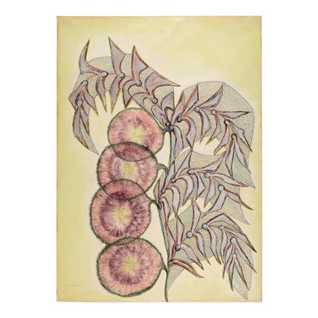Untitled by Anna Zemankova - Auction record, sale price, and art valuation. Compare with similar artists and explore comparable artworks.