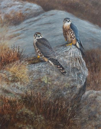 Merlin and Golden Eagle (2) by Alastair Proud - Auction record, sale price, and art valuation. Compare with similar artists and explore comparable artworks.