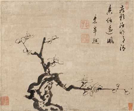 Ancient Plum Tree