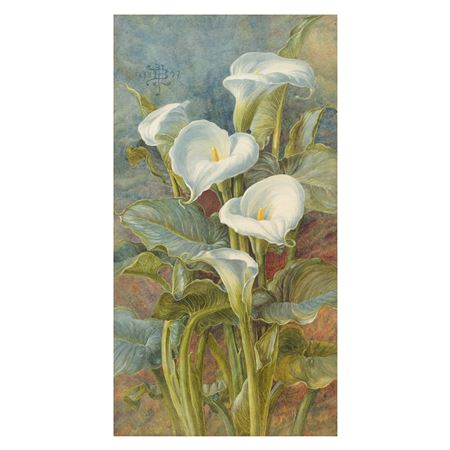 Arnum Lilies