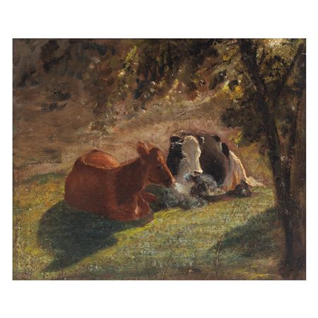 Landscape study with cows