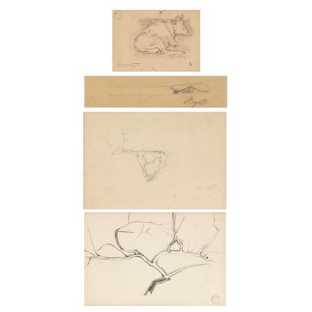 Stylized Branches and Stylized Insects