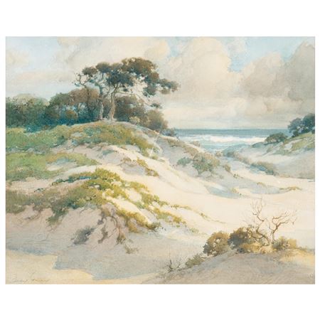 Sand Dunes of Monterey