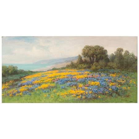 Blooming Wildflowers on the California Coast