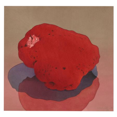 Organ Pipe Coral, 1985-89