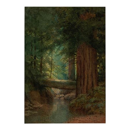 Redwoods