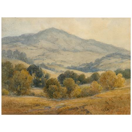 Munt Tamalpais