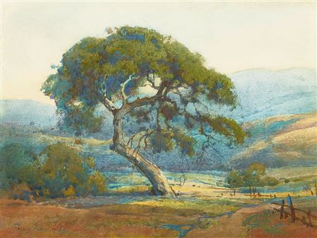 Lcas Valley Landscape with Wildflowers