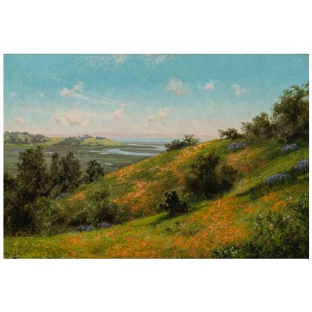 Sringtime - Marin County