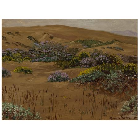 Snd Dunes and Lupine