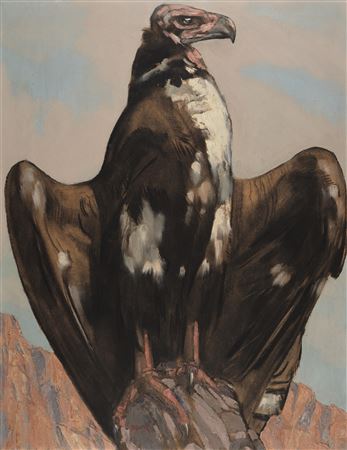 Vulture