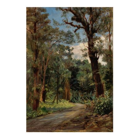 Forest Road, Hilo