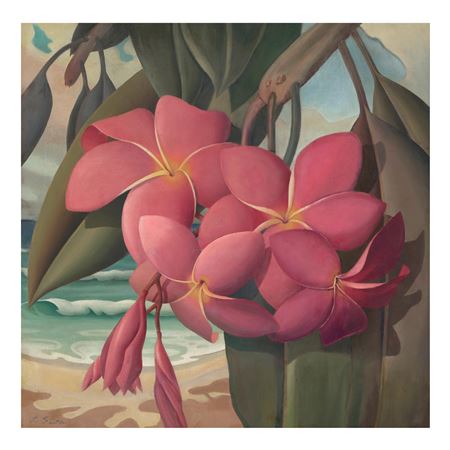 Hilo Plumeria