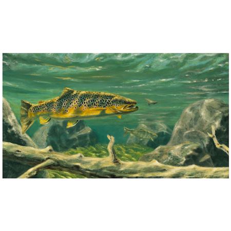 Rainbows of Spring Creek