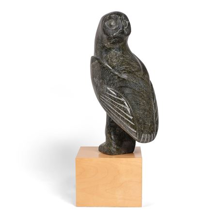 UNTITLED (OWL AND YOUNG)