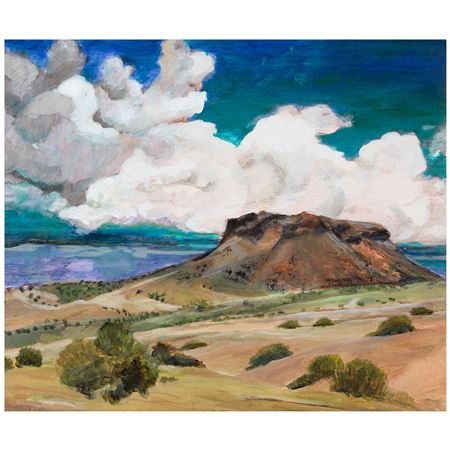 Mesa View