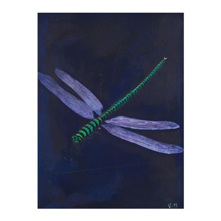 Libellule
