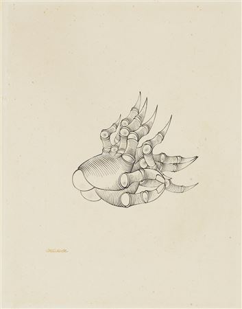 Les mains de Françoise Luchaire