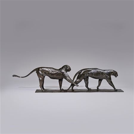 Two leopards walking, the male raises one paw