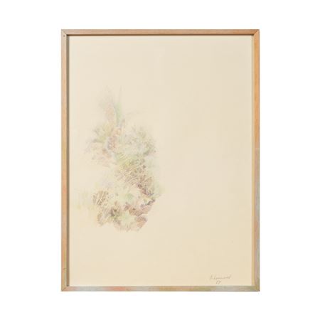 Étude de plante/ Plant study