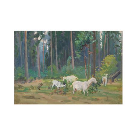 Chèvres dans la forêt