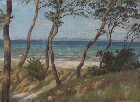View over the sea from Hornbæk Plantation
