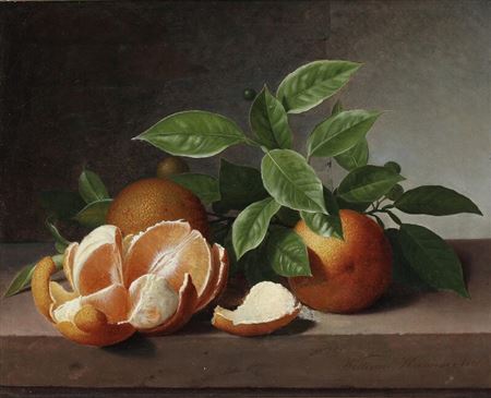Still life with oranges on a stone sill.