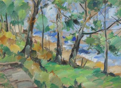 Forest landscape near a coast