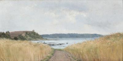 A view of a fiord