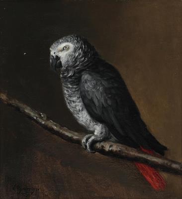The Parrot Hulda