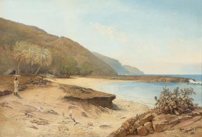 A view of a coast on the Virgin Islands