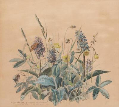 "Gøgeurter og smørblomster" (1928)