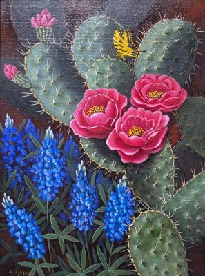 Cactus & Bluebonnets