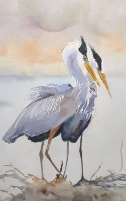 Blue Herons