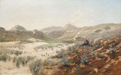 Summer Day in the Dunes