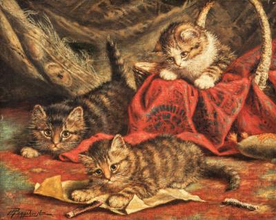 Kittens playing.