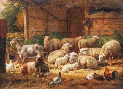 Sheep in the stable.