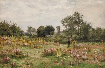 Fleurs de bruyère en Campine
