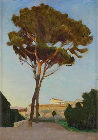 Pine Trees