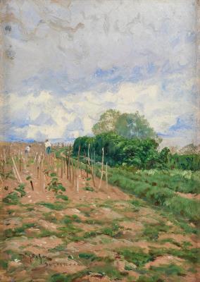 Vineyards, Suresnes